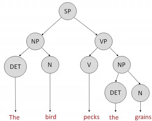 مراحل NLP